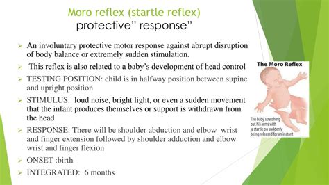 PPT - Primitive reflexes PowerPoint Presentation, free download - ID