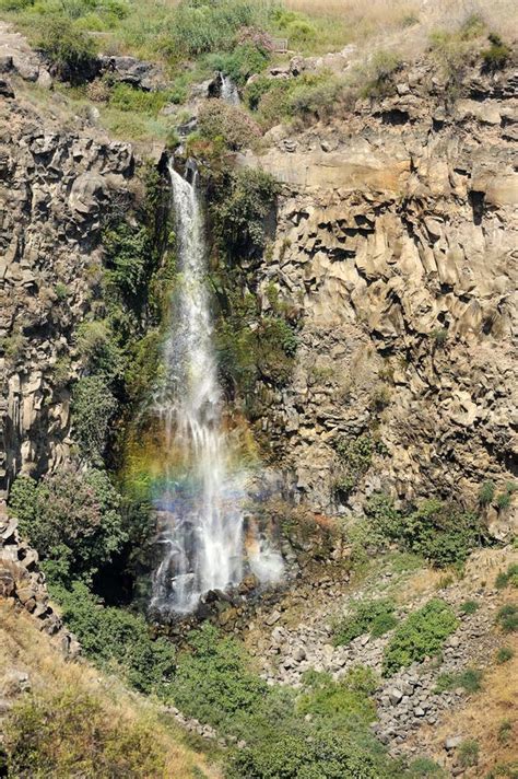 Gamla Nature Reserve in Israel Stock Image - Image of reserve, rainbow ...