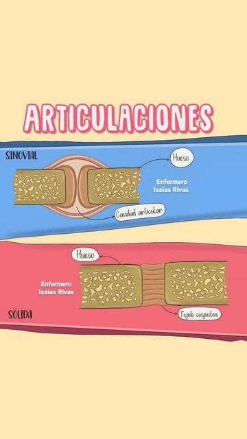 Articulaciones Enfermero Isaias Rivas Enfermeroisaiasrivas Udocz