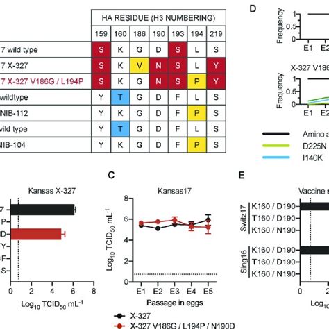 Epistatic Interactions That Involve Egg Adaptive Mutations A Amino Download Scientific