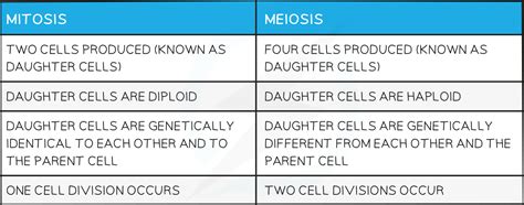 Meiosis Edexcel Igcse Biology Double Science Revision Notes 2019