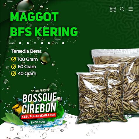 Jual Maggot Kering Magot Dry Maggot Pakan Ikan Terbaik Tidak Berminyak