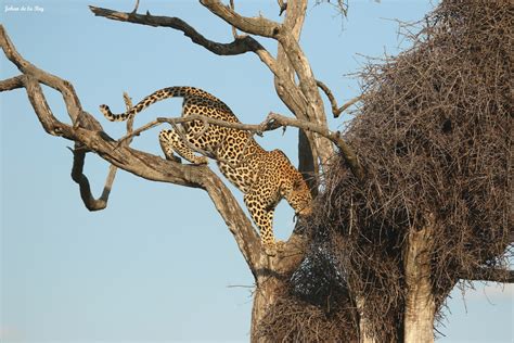 Boulders puts on a show - Leopard Hills Private Game Reserve