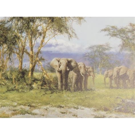 A Collection Of Signed Limited Edition David Shepherd Prints To