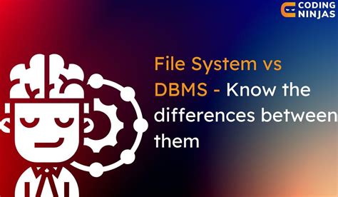 Difference Between File System And DBMS Coding Ninjas