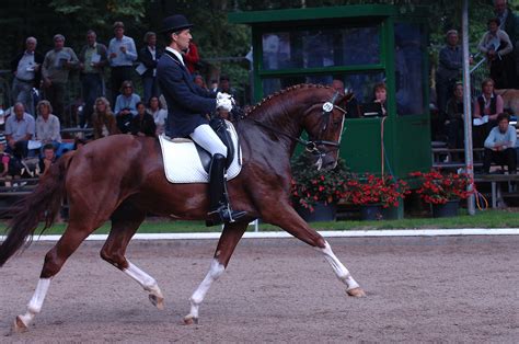 Trot Picture Gallery – The Horse Magazine