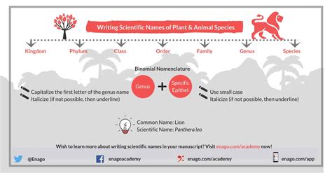 The First Letter Of Every Species Name Is