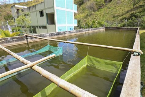 Cajamarca ministro de la Producción visita el centro experimental