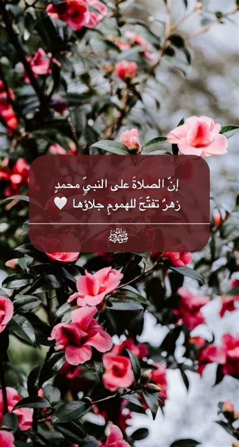 Some Pink Flowers With Arabic Writing On Them