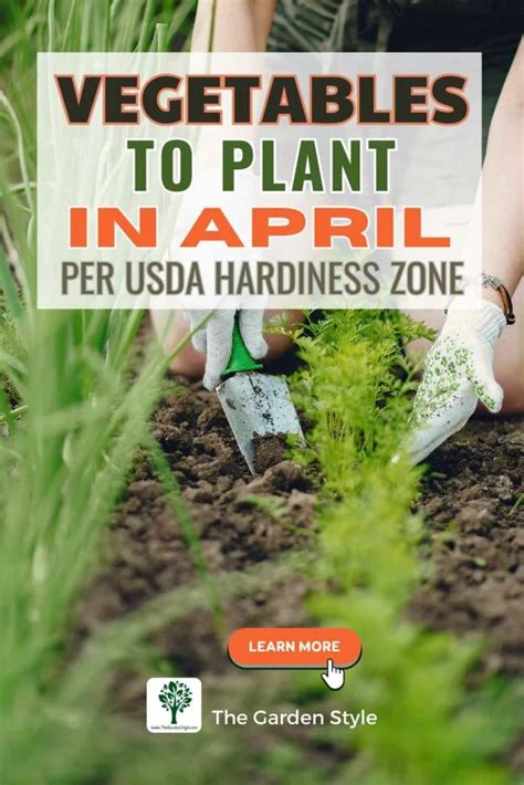 What Vegetables To Plant In April Per Usda Hardiness Zone The Garden