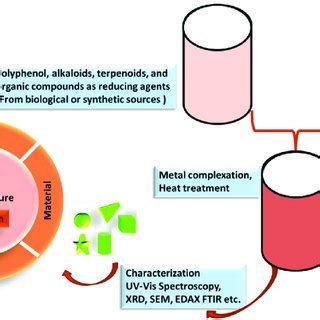 Schematic Representation Of Nanoparticle Synthesis Along With Their