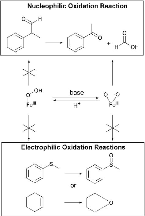 Reactivity Of Mononuclear Non Heme Hydroperoxo And Peroxo Iron