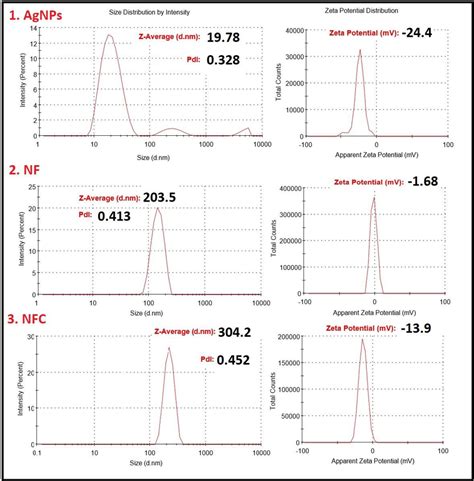 Particle Size Zeta Potential And Pdi Of 1 Agnps 2 Nf And 3 Nfc