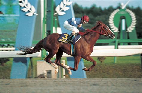 【岩手】“メイセイオペラ”メモリアルフォト展の開催についてお知らせandニュース楽天競馬