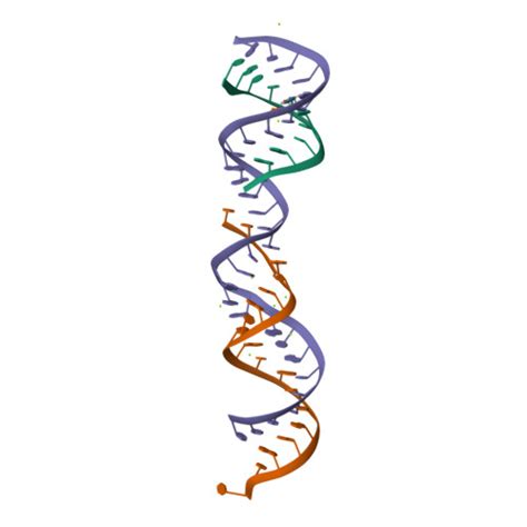 Rcsb Pdb 357d 35 A Structure Of Fragment I From E Coli 5s Rrna