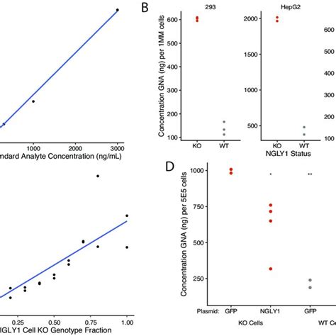 A Model For The Generation Of Gna In Ngly1 Deficiency A Normal