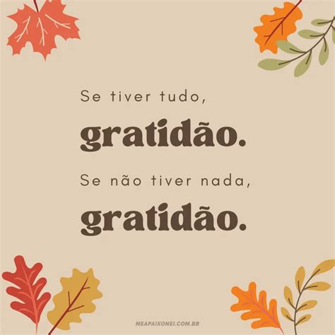 Frase De Gratidão Pela Vida - 60+ Frases de Gratidão pela Vida e por tudo que Conquistamos - Me ...