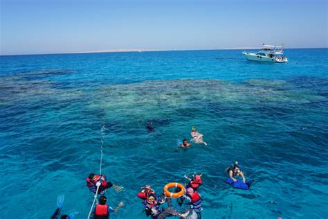 Hurghada snorkeling tour and dolphin house trip – Tigrest Travel Blog