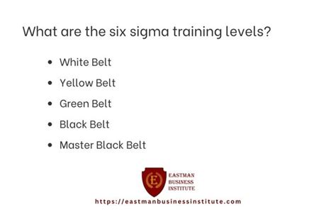 Overview Of Six Sigma Eastman Business Institute Overview Of Six Sigma