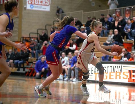 IHSA girls basketball: Meet the SJ-R's all-area girls basketball teams