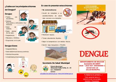 Folleto De Prevención Del Denguedocx