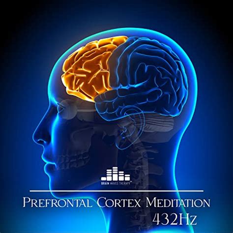 Prefrontal Cortex Meditation Hz Brain Cell Regeneration And Healing