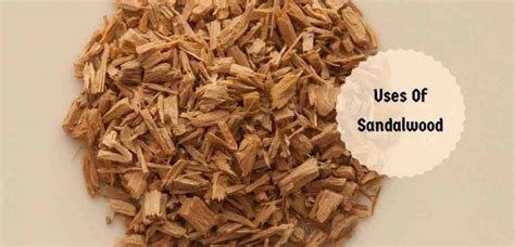 Sandalwood Benefits: One Of Ayurveda's Most Sacred Herbs