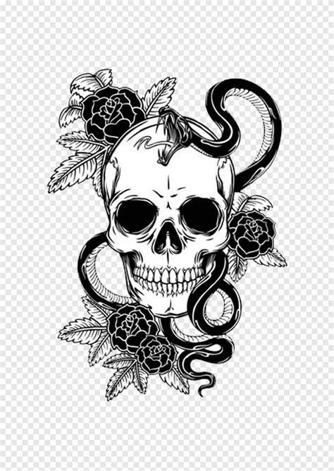 Drawings Of Skulls And Snakes