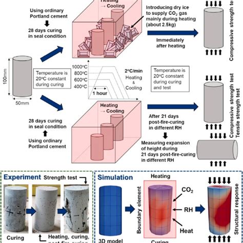 Outline Of Carbonation De Carbonation And Re Carbonation Models During