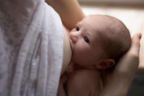 Bebês que são amamentados pelo leite materno têm 33 menos risco de