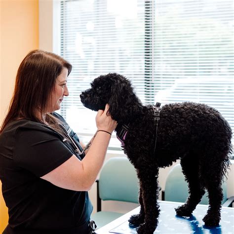 animal urgent care park hill 2