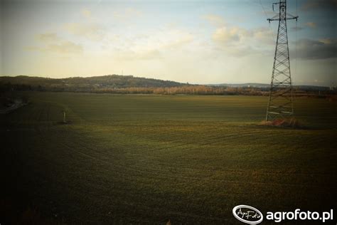 Pola Obrazek Fotka Zdjecie Photo Galeria Rolnicza Agrofoto