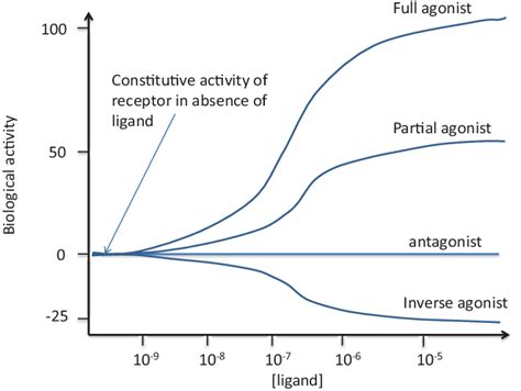 1 Pharmaceutical definitions of different ligand types: full agonists ...