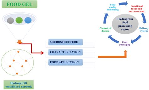 Gels | Free Full-Text | A Comprehensive Review of Food Hydrogels ... 