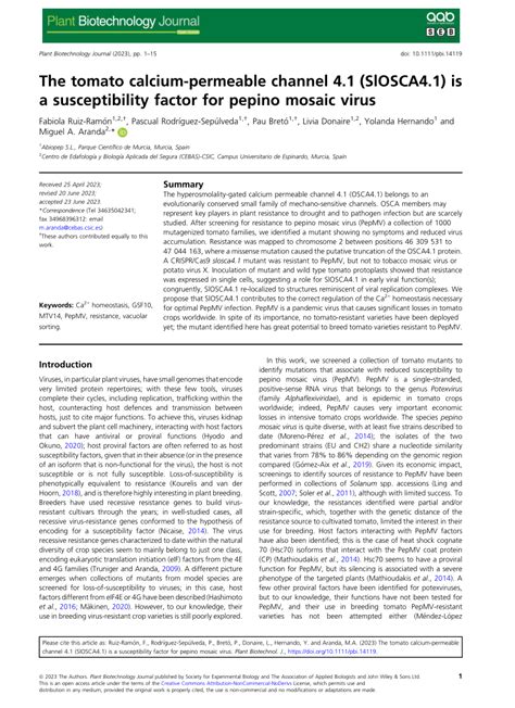 Pdf The Tomato Calcium Permeable Channel 41 Slosca41 Is A