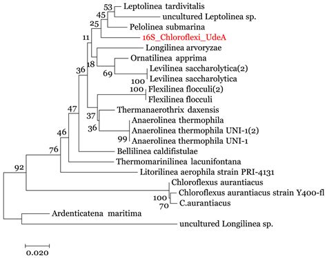 DATMA Distributed AuTomatic Metagenomic Assembly And Annotation