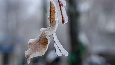 Meteo Februarie Cer Variabil I Temperaturi De P N La C