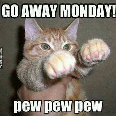 Mondays Funny Cat Pictures Funny Animals