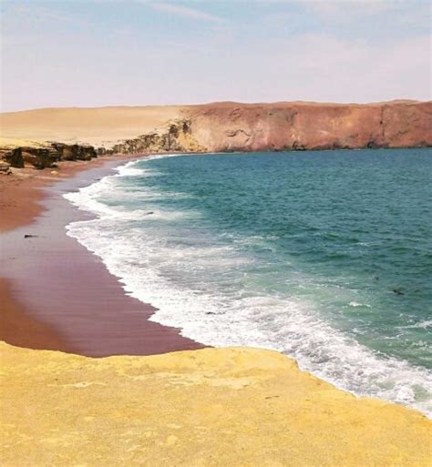 Paracas Full Day Tour Wayra Peru Travel