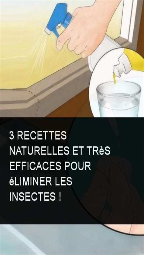 3 recettes naturelles et très efficaces pour éliminer les insectes