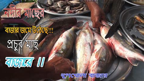 নদীর সেরা মাছে বাজার ভরে গেছেদাম যাচাই করুনbiggest River Fish Market