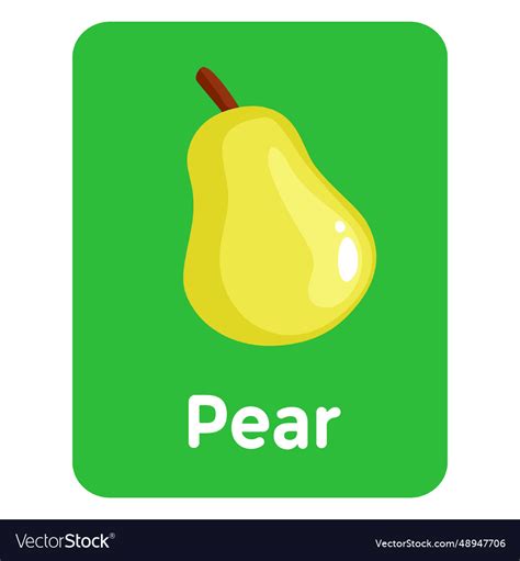 Pear vocabulary flashcard Royalty Free Vector Image