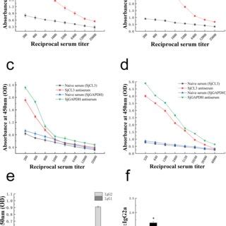 Mouse Serum Antibody Response Shown By Elisa Serum Titer Of Mice To