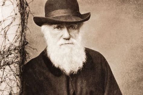 Charles Darwin Facts: Birth, Education, Legacy & More - Facts.net