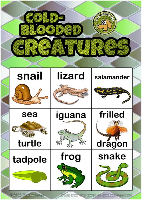 Cold Blooded Creatures Bingo Reptiles X Pages Call Sheet