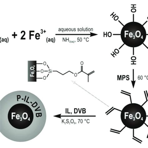 General scheme of synthesis of magnetic nanoparticles coated with ...