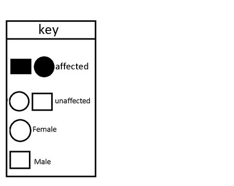 Pedigree Chart - Cystic Fibrosis