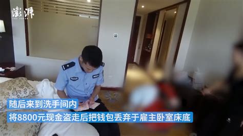 刚入职3天 保姆盗窃雇主钱包被抓凤凰网湖北 凤凰网