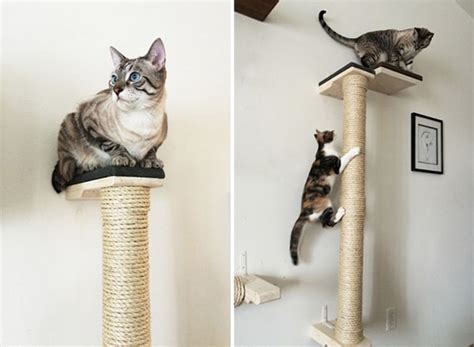 Save Space In Style With These Wall Mounted Cat Scratchers Catster