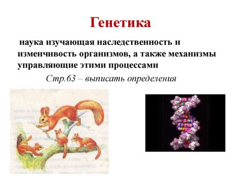 Генетика. Наследственность - online presentation